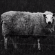 Illustration for article titled A Process of How It Seeks Itself, It Eats Itself